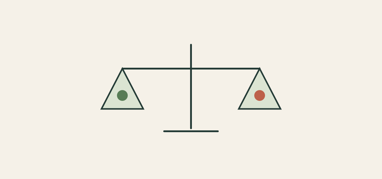 A balance represents privacy interests and access authority